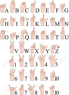 the alphabet and numbers with hands in different positions stock photo, images and royalty illustrations