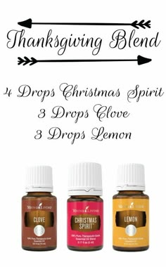 thanksgiving blend Fall Essential Oil Blends, Fall Essential Oils, Benefits Of Essential Oils, Vetiver Essential Oil, Essential Oil Diffuser Recipes, Oil Diffuser Recipes