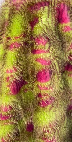 the fur is green, pink and yellow