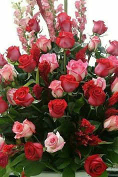 a vase filled with lots of red and pink roses