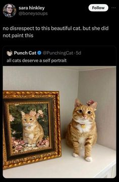 an orange and white cat standing next to a painting on top of a shelf in a room