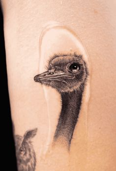 an ostrich tattoo on the leg of a woman