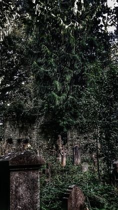 an old cemetery in the middle of a forest