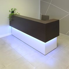 an office desk with a plant in the corner and lights on it's sides