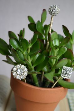 a potted plant with two diamond studs on it's top, sitting on a table