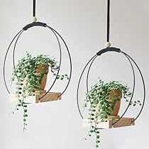 two hanging planters with plants in them