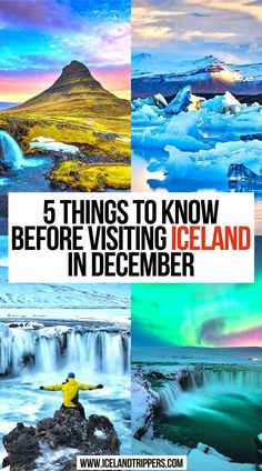 5 Things To Know Before Visiting Iceland in December Iceland In August, November Weather, Winter Driving Tips, December Travel, Iceland Food, Iceland Vacation