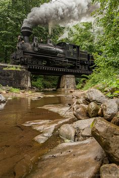 an old steam train traveling over a bridge in the middle of a forest filled with trees