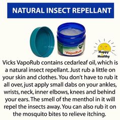 Vic Vaporub, Vicks Vapor Rub, Abs Diet, Vicks Vapor, Uses For Vicks, Insect Spray, Gym Abs, Vapor Rub, Info Board