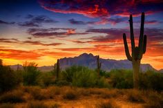 the sun is setting behind a saguado cactus framed print by panoramic images