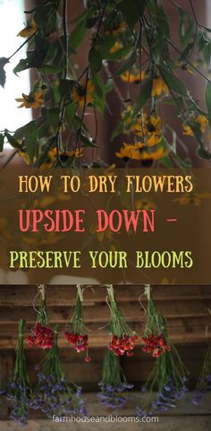 two pictures of flowers air drying by hanging to dry How To Hang Dried Flowers, How To Dry Wildflowers, Drying Out Flowers, How To Dry A Bouquet Of Flowers, Dry Bouquet Flowers, How To Dry Bouquet Flowers, Air Dry Flowers, Hang Dried Flowers, How To Dry Out Flowers