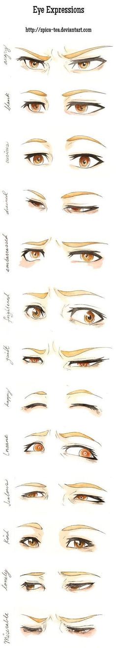 an image of different types of eyes