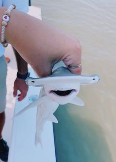 a person is holding a fake shark in their hand while standing next to the water