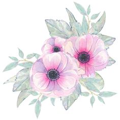 two pink flowers with green leaves on a white background, painted in watercolor by hand