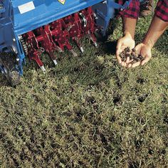 a man is holding some seeds in his hands while standing next to a blue tractor