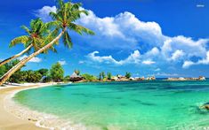 a beach with palm trees and clear blue water