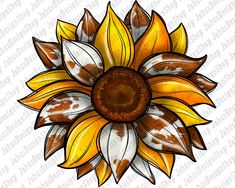 a drawing of a sunflower with brown and white petals