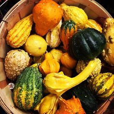 a basket filled with lots of different types of squash