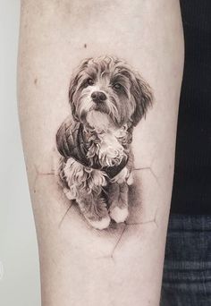 a black and white photo of a dog on the arm