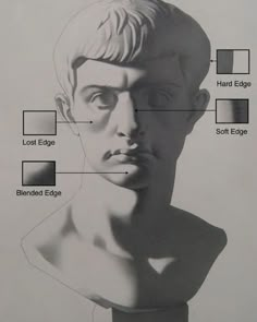 a black and white drawing of a man's head with different parts labeled in it