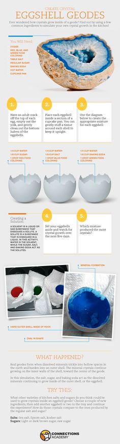 an info sheet describing how to use the egg shell for eggshells and other things