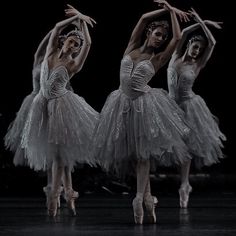 three ballerinas in white tutus are performing on stage