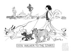 a woman walking two dogs on a leash drawing by charles penckroue, from the book dog walker to the stars