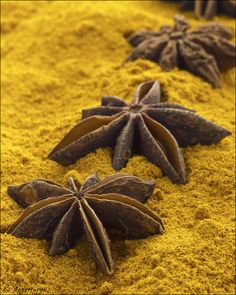 three star anise on yellow ground with other spices in the backgroung