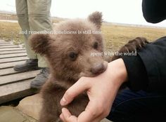 a person holding a small brown bear in their hand with the caption, and remember, jones is still time to speak with the world