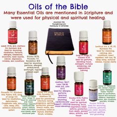 Oils Of The Bible, Oil Therapy, Women's Retreat, Anointing Oil, Essential Oil Diffuser Blends Recipes, What Are Essential Oils, Young Living Essential Oils Recipes, Yl Oils, Essential Oils Guide