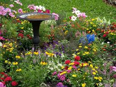 a bird bath surrounded by colorful flowers in a garden