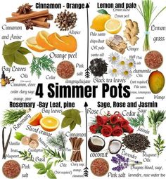 four different types of fruit and vegetables with the words 4 summer pots written below them