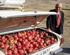 a man standing next to an open car trunk filled with red apples in the desert