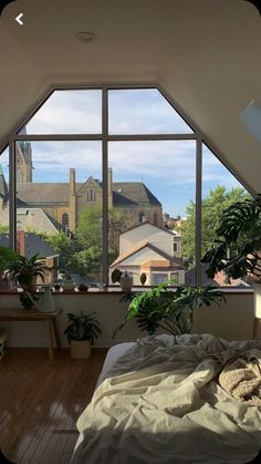 a bed sitting under a window next to a plant filled room on top of a hard wood floor