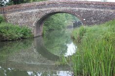 an old brick bridge over a river with tall grass on the bank and trees in the background