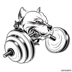 an angry dog with a barbell in his mouth