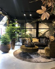 a living room filled with lots of furniture and potted plants on top of it