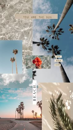 a collage of palm trees and the words you are the sun