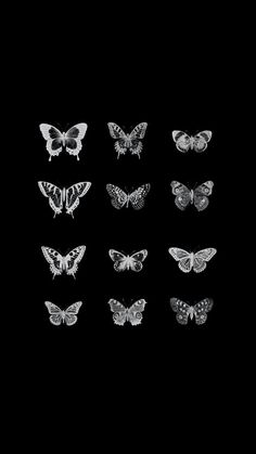 six butterflies are shown in black and white on a dark background, each with different markings