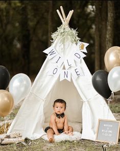 a baby sitting in front of a teepee with balloons and a sign that says wild one