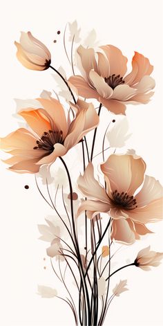 an image of some flowers on a white background with orange and brown colors in the center