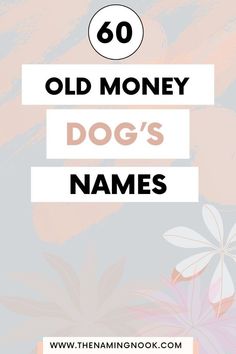 an old money dog's name with the title overlay