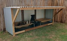 two dogs are sitting in their kennels outside