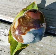 a piece of glass sitting on top of a leaf