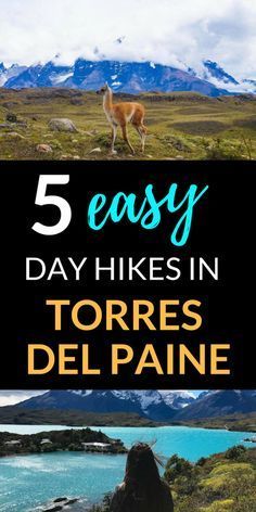 the top five hikes in torres del paine, chile with text overlay