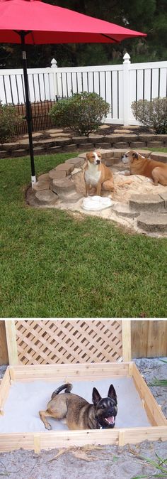 there are two dogs laying on the ground in this dog bed and under an umbrella