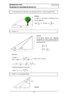 the worksheet shows an image of a tree and its surroundings