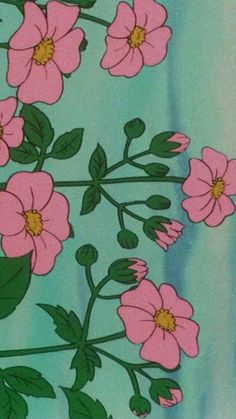 pink flowers with green leaves are on a blue and green background in an artistic manner