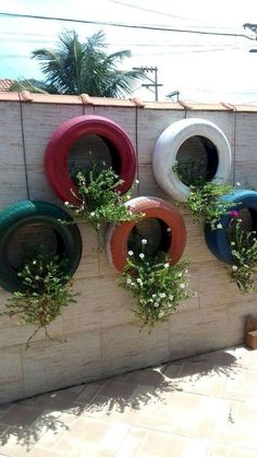 four different colored tires mounted to a wall with plants growing out of them and hanging from the side