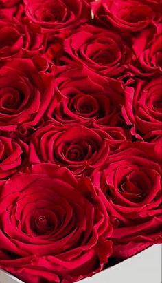 a vase filled with red roses on top of a table